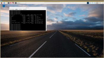 rbpz_vnc